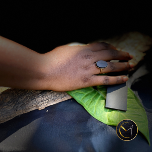 Bague bois d'ébène de Madagascar et acier inoxydable, ovale, réglable